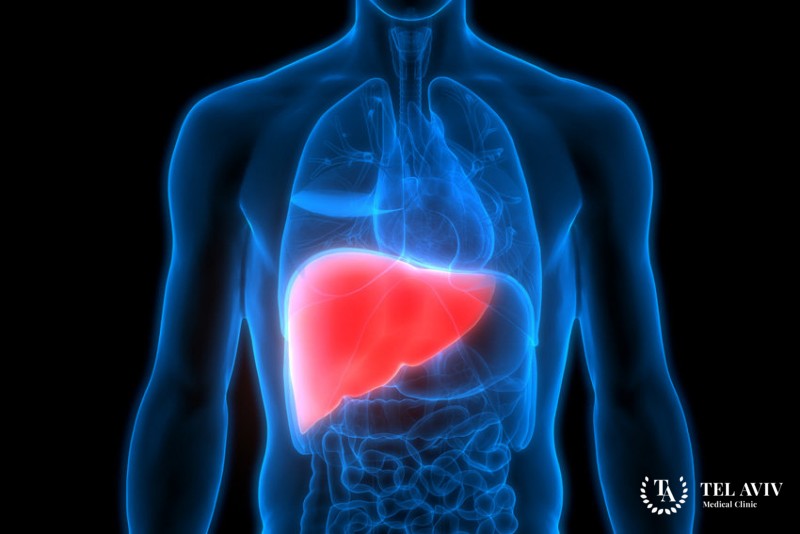 Липидолизация при патологиях печени