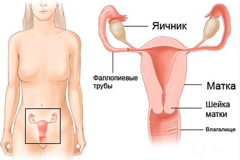 Ангиосаркома влагалища - диагностика и лечение