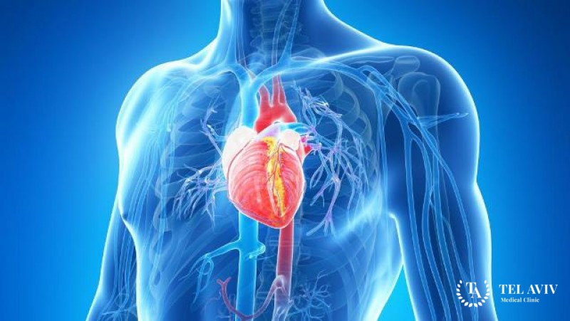 Хирургия обструкций выводного тракта левого желудочка