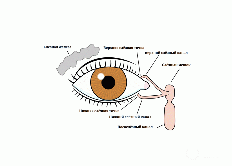 Заболевания слезного канала
