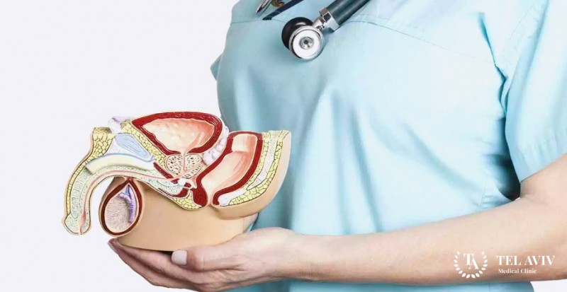 Интерсексуальность