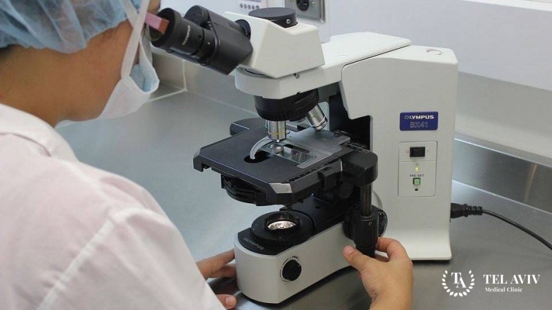 Гепатолиенальная Т-клеточная лимфома