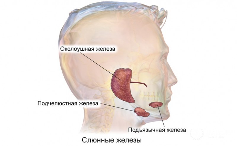 Мономорфная аденома слюнных желез