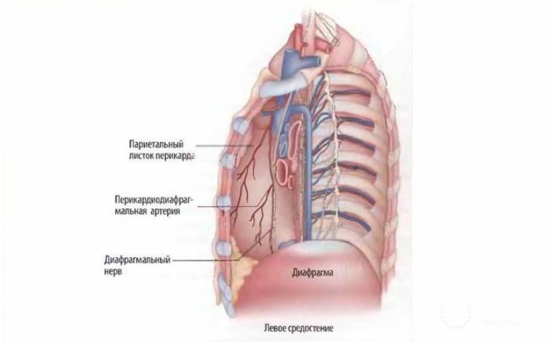 Высокодифференцированная нейроэндокринная опухоль