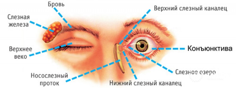 Лимфома конъюнктивы глаза