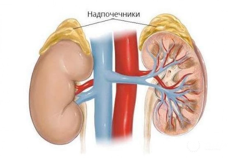 Клиника заболеваний надпочечника: симптомы