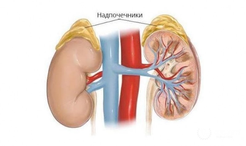 Синдром Конна
