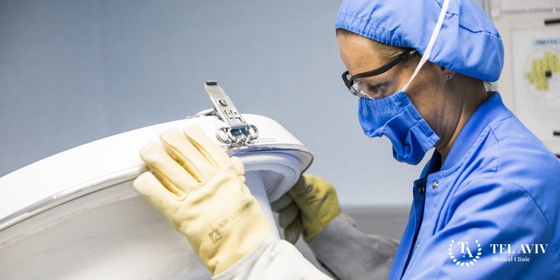 Витрификация: информация