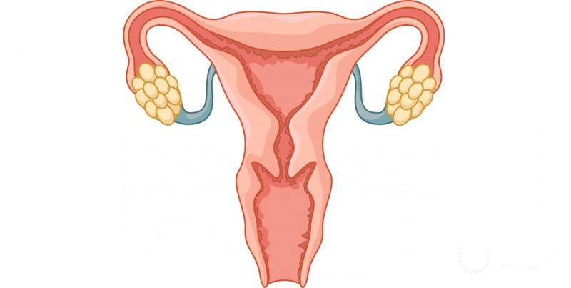 Индукция овуляции: информация