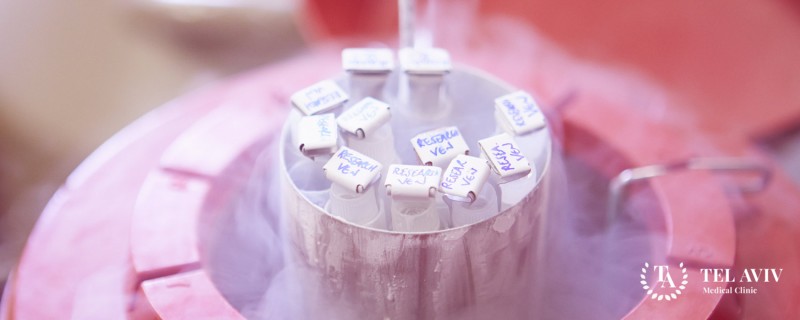 Сохранение эмбрионов, яйцеклеток: информация