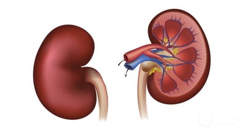 Почечная недостаточность: информация