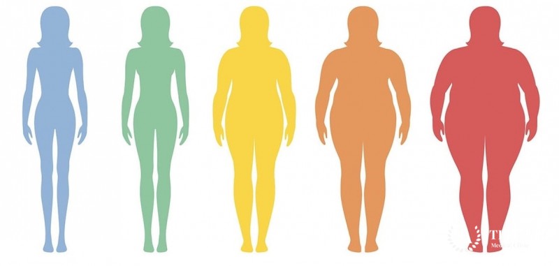 Булимия: информация