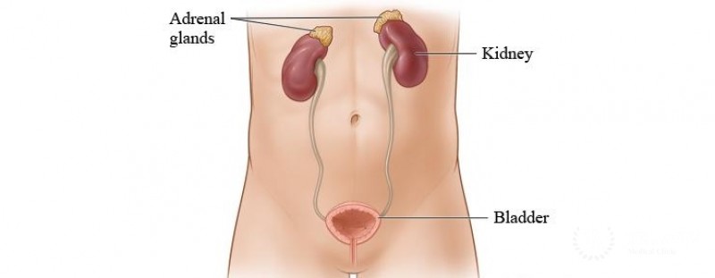 Surgical methods used at Tel Aviv Medical Clinic