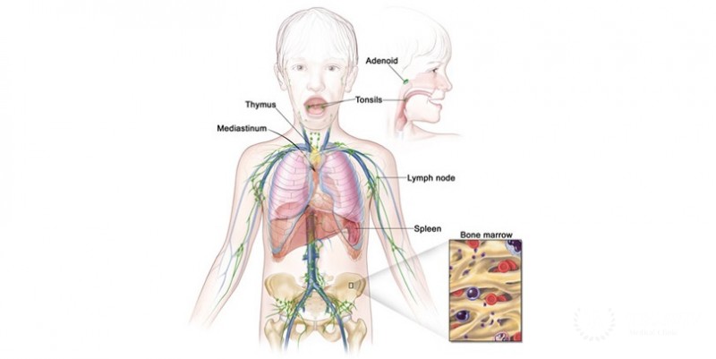 Treatment for Hodgkin lymphoma in adults