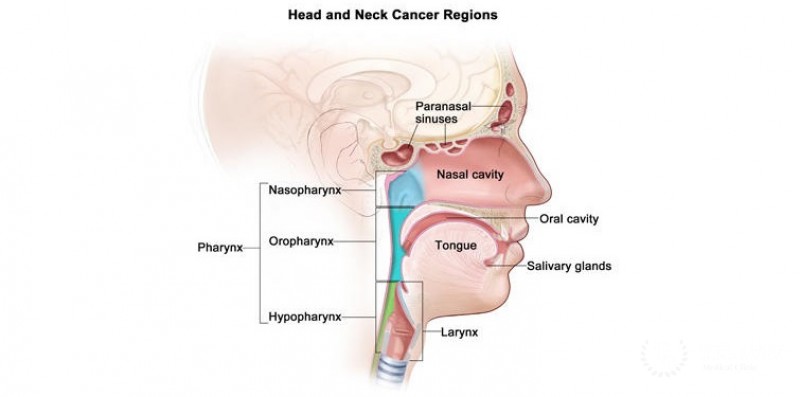 Head and neck tumors