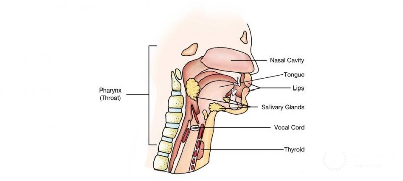 Congenital and genetic disorders in communication and ears, nose and throat, including the head and neck