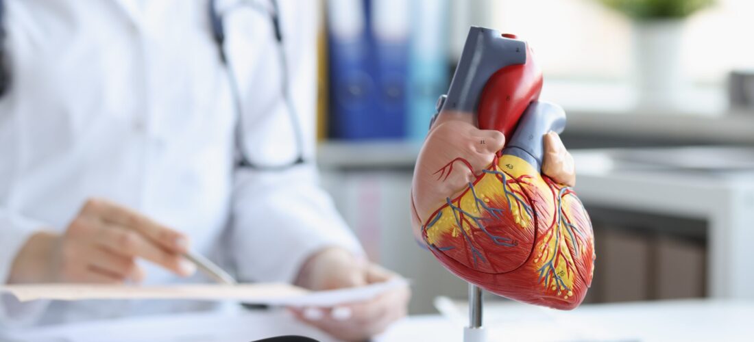Anatomical model of the heart on the doctor's table, blurry Anatomical model of the heart on the doctor's table, blurry
